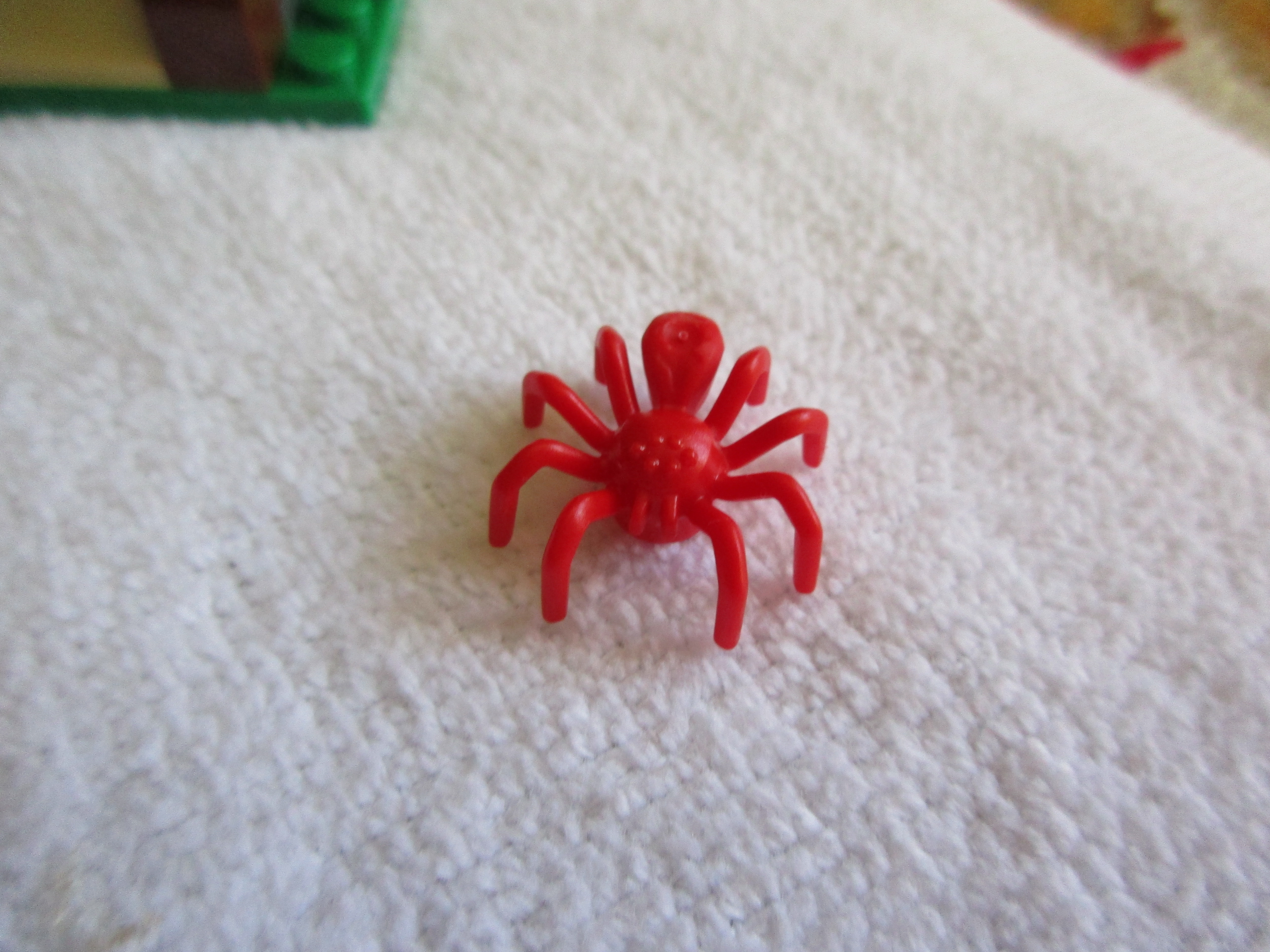 60158spider.jpg