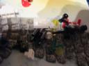 60201day9c.jpg