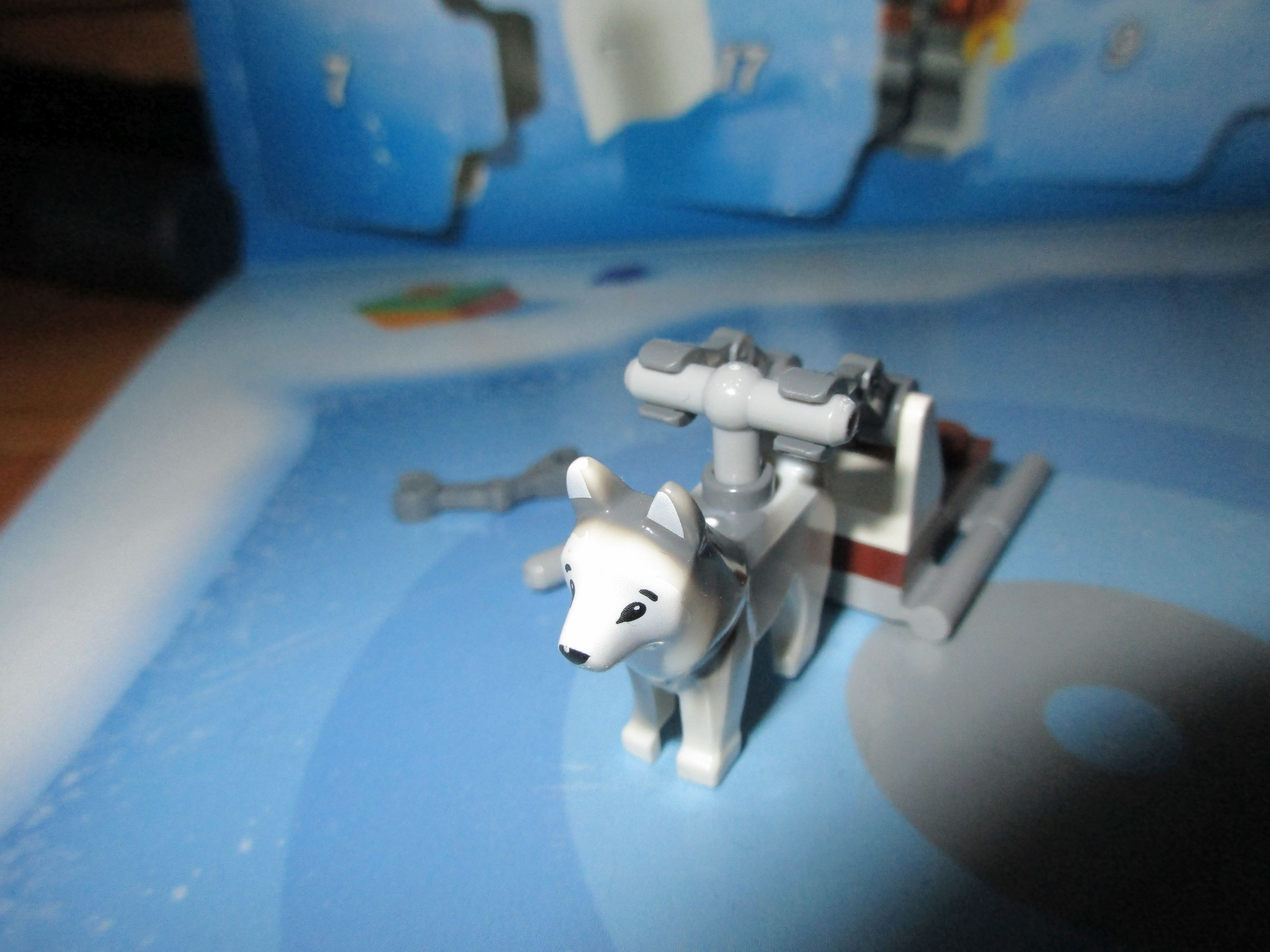 60235day23.jpg