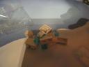 60235day4b.jpg