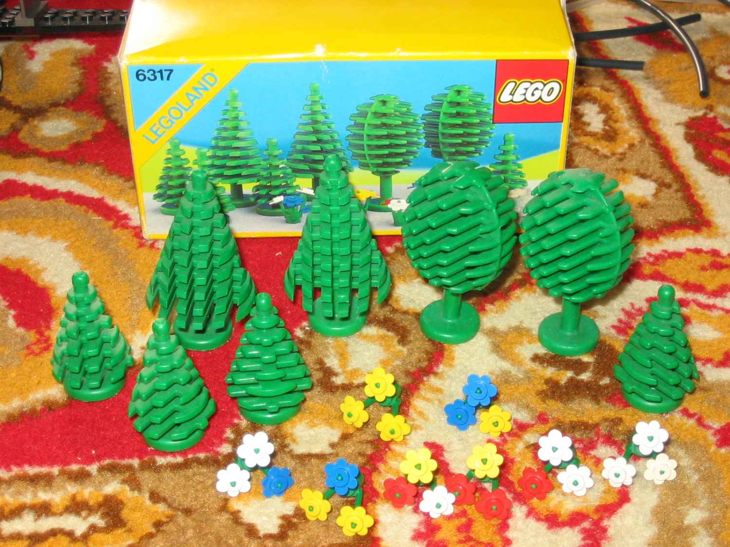 6317.jpg