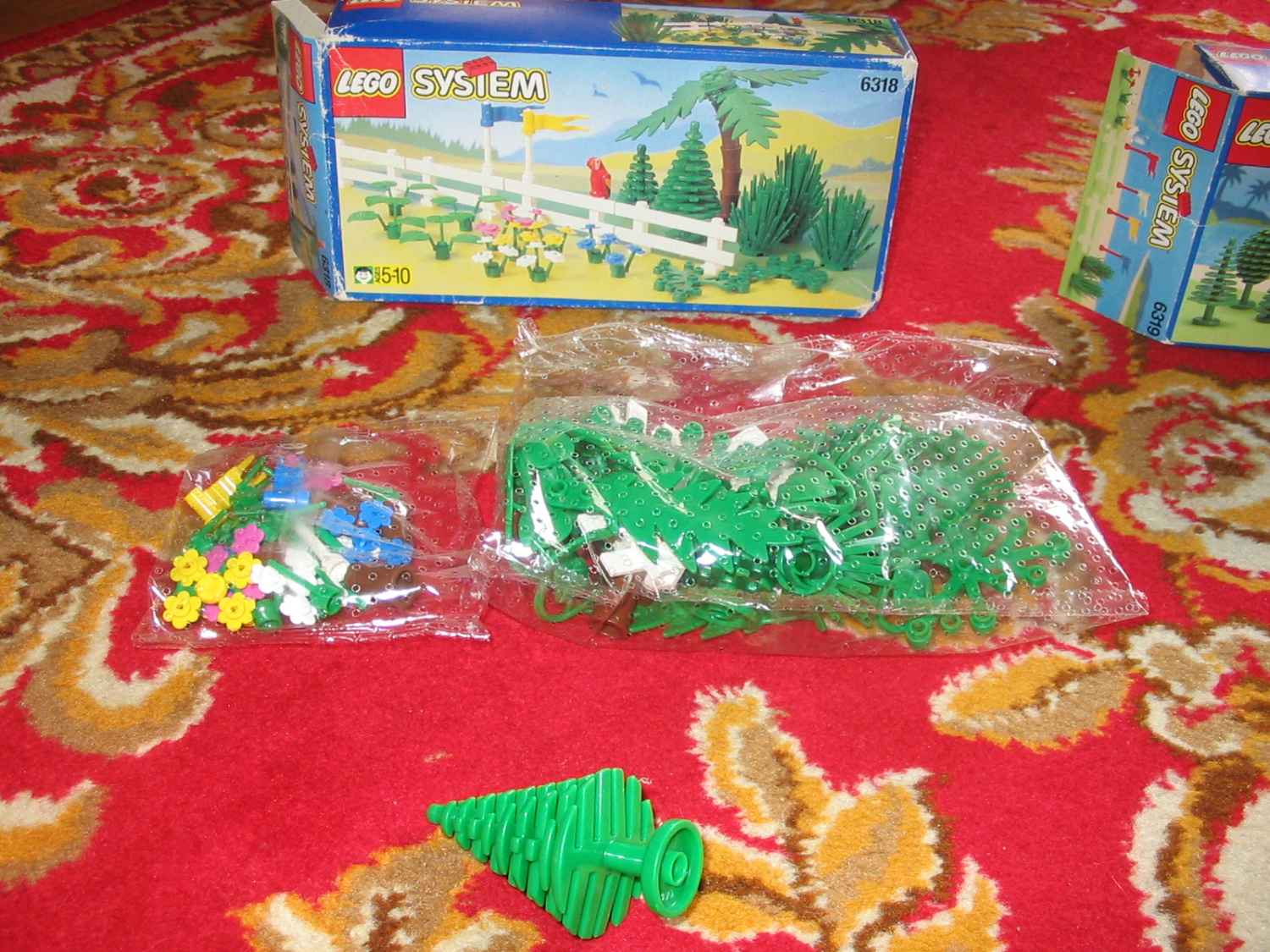 6318a.jpg