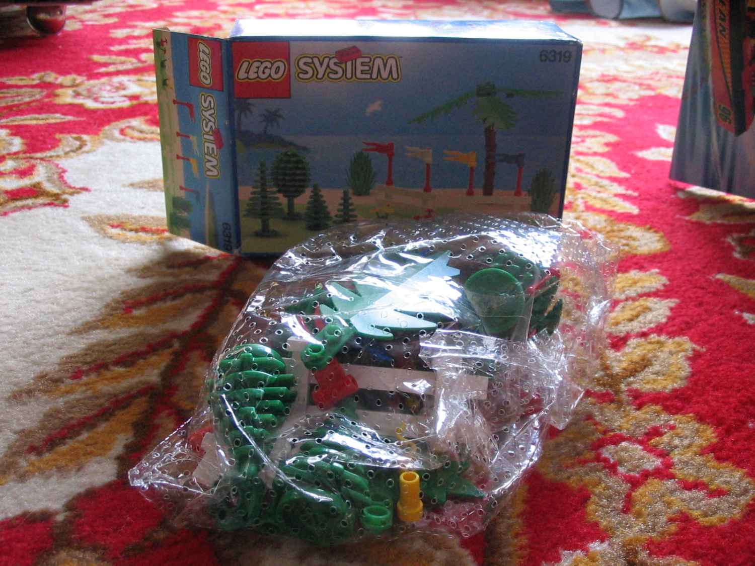 6319a.jpg