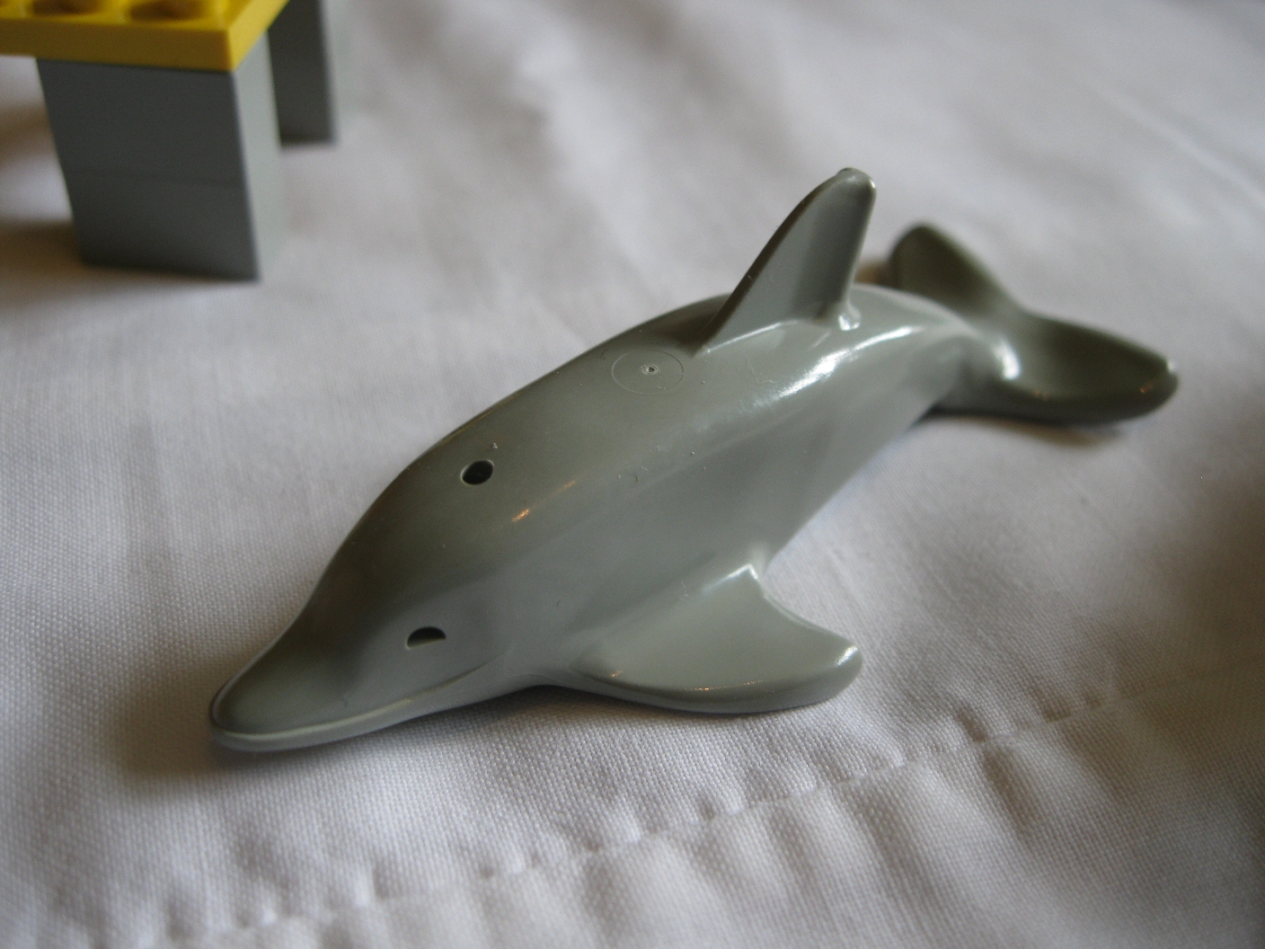 6338dolphin.jpg