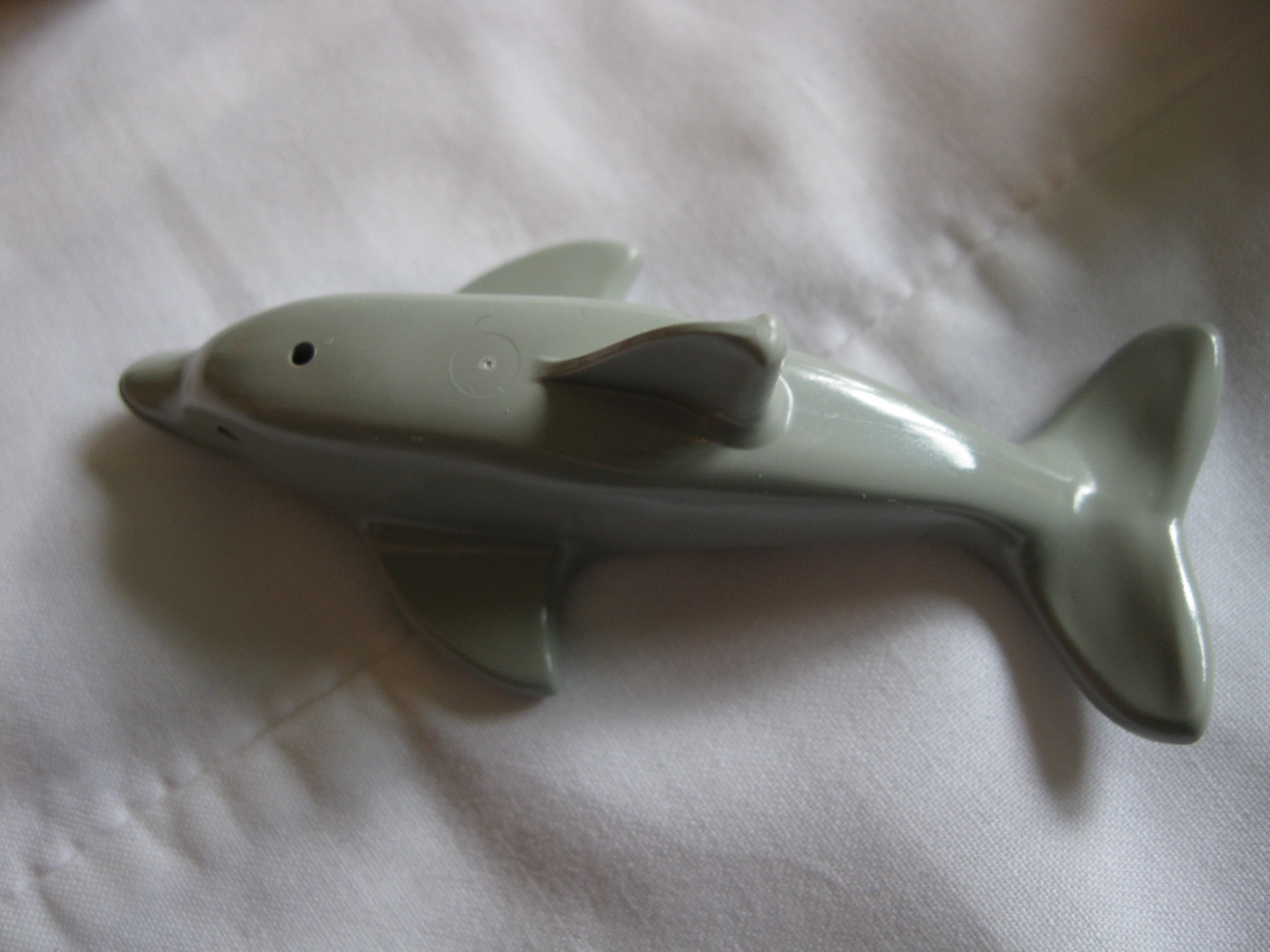 6338dolphin2.jpg