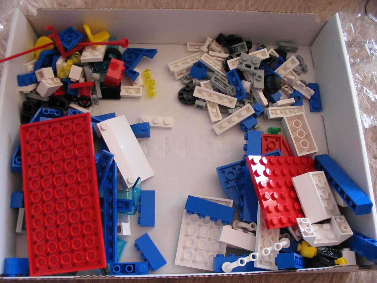 6353f.jpg