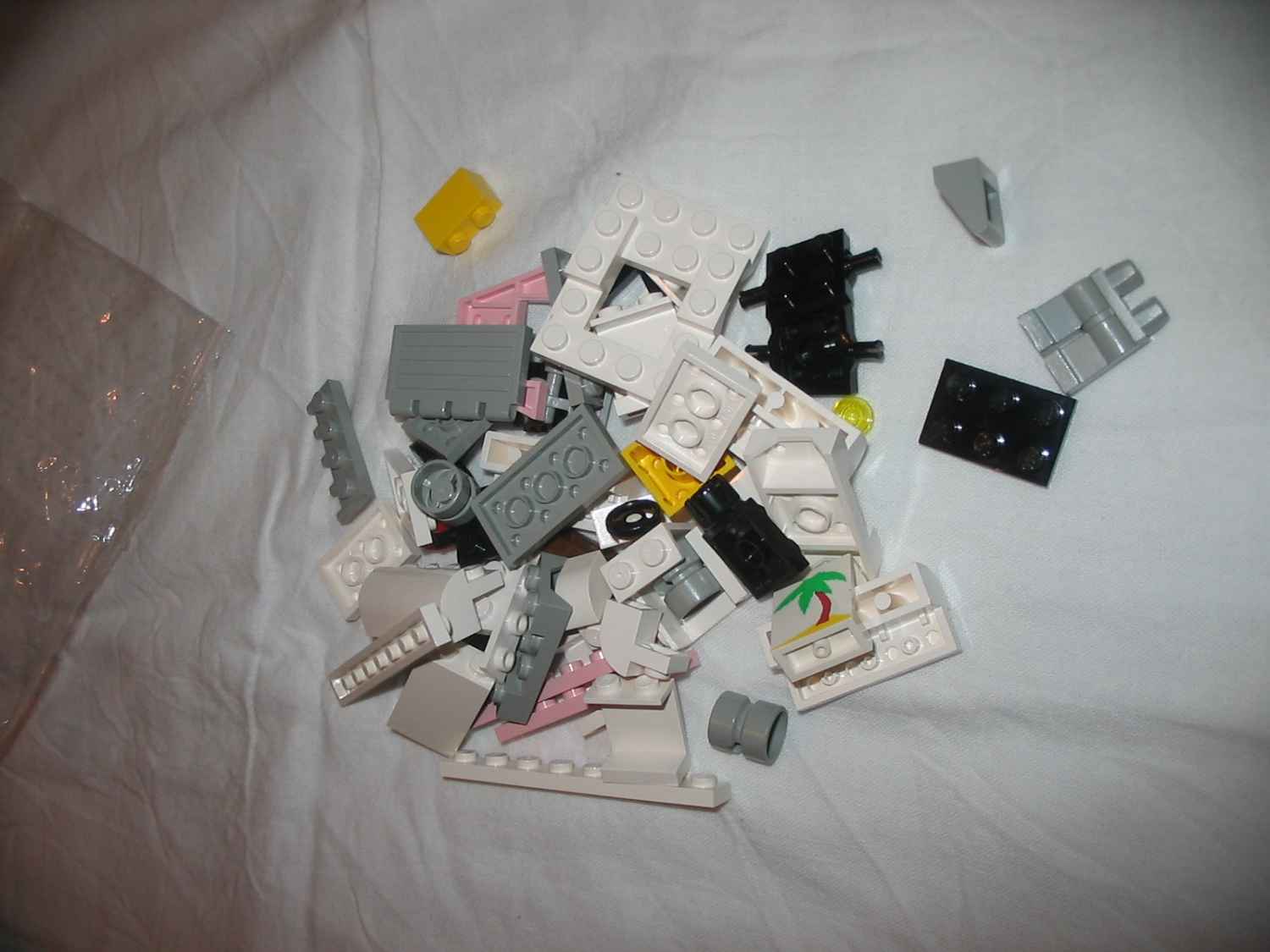 6405d.jpg
