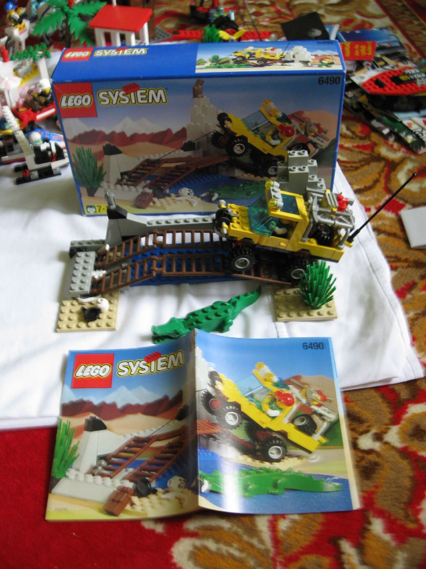 6490.jpg