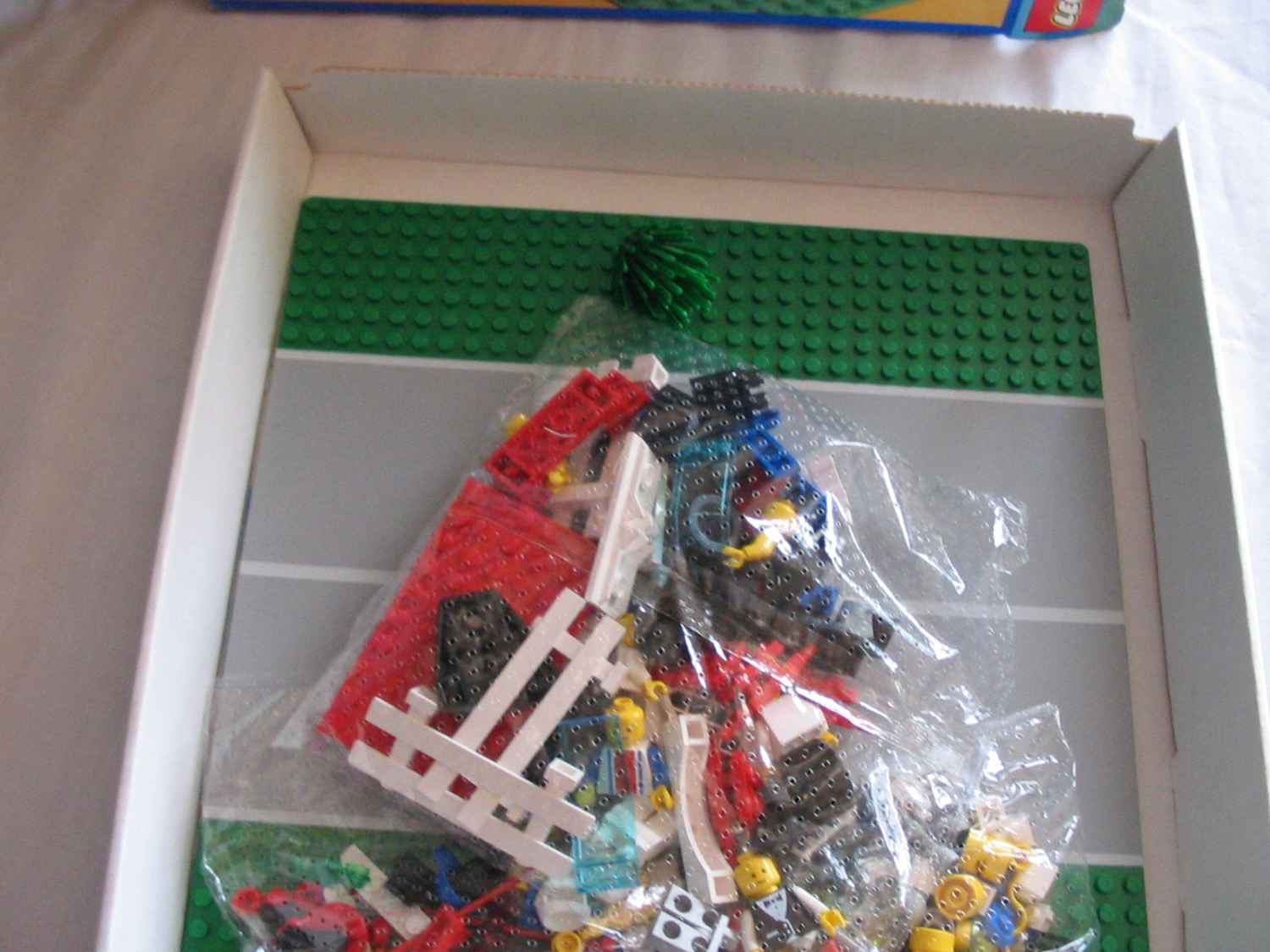 6551b.jpg