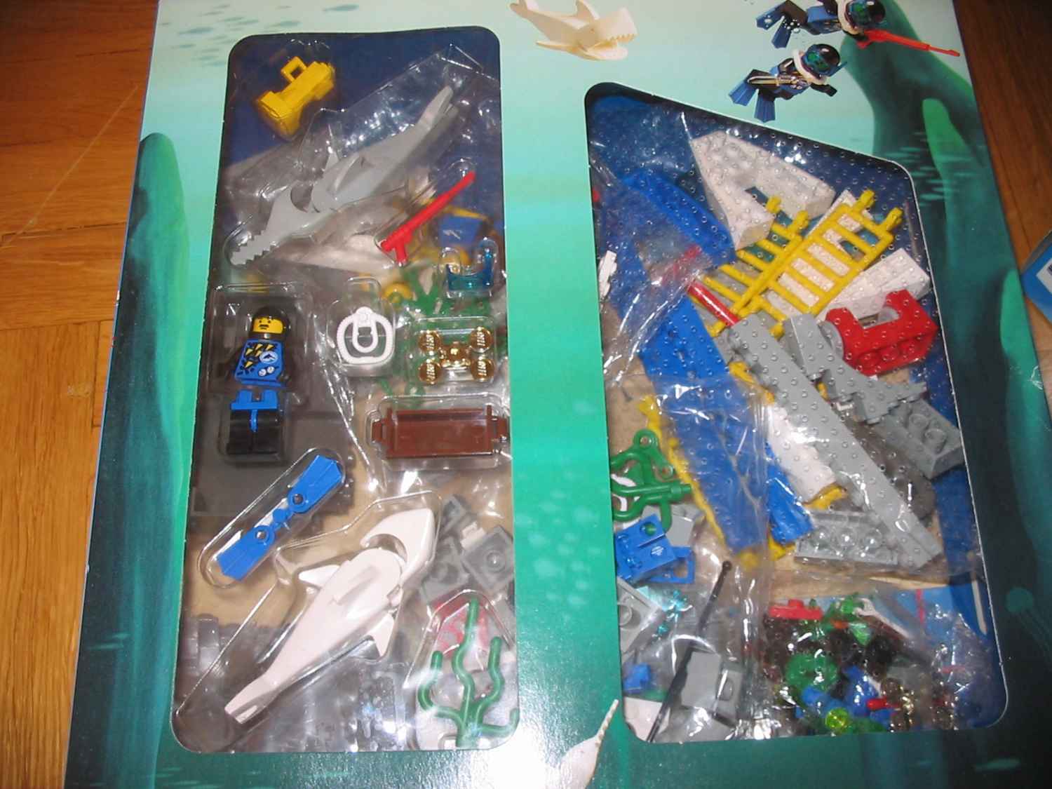 6558_display4.jpg