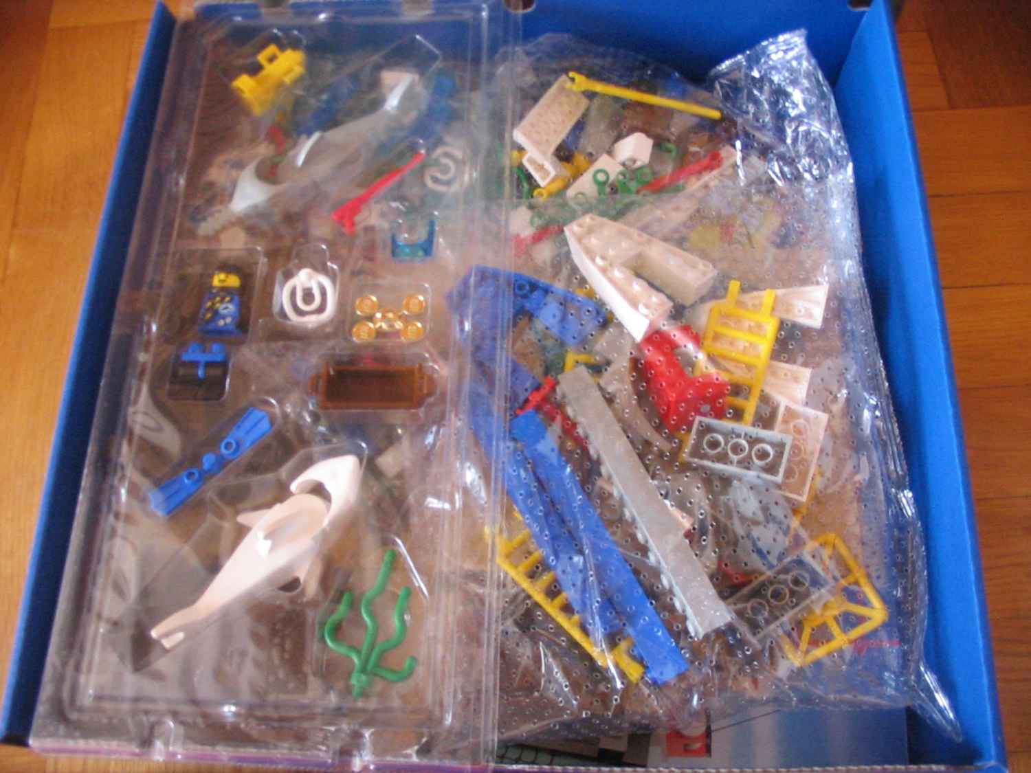 6558a.jpg