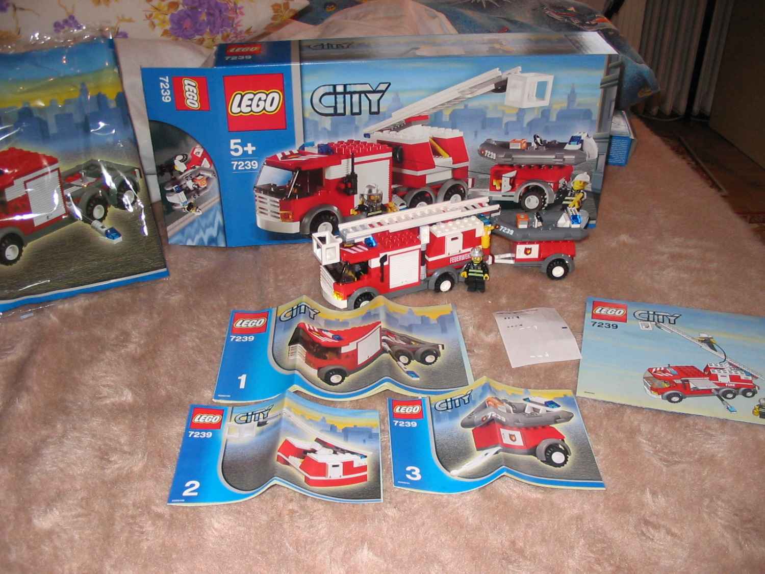 7239.jpg