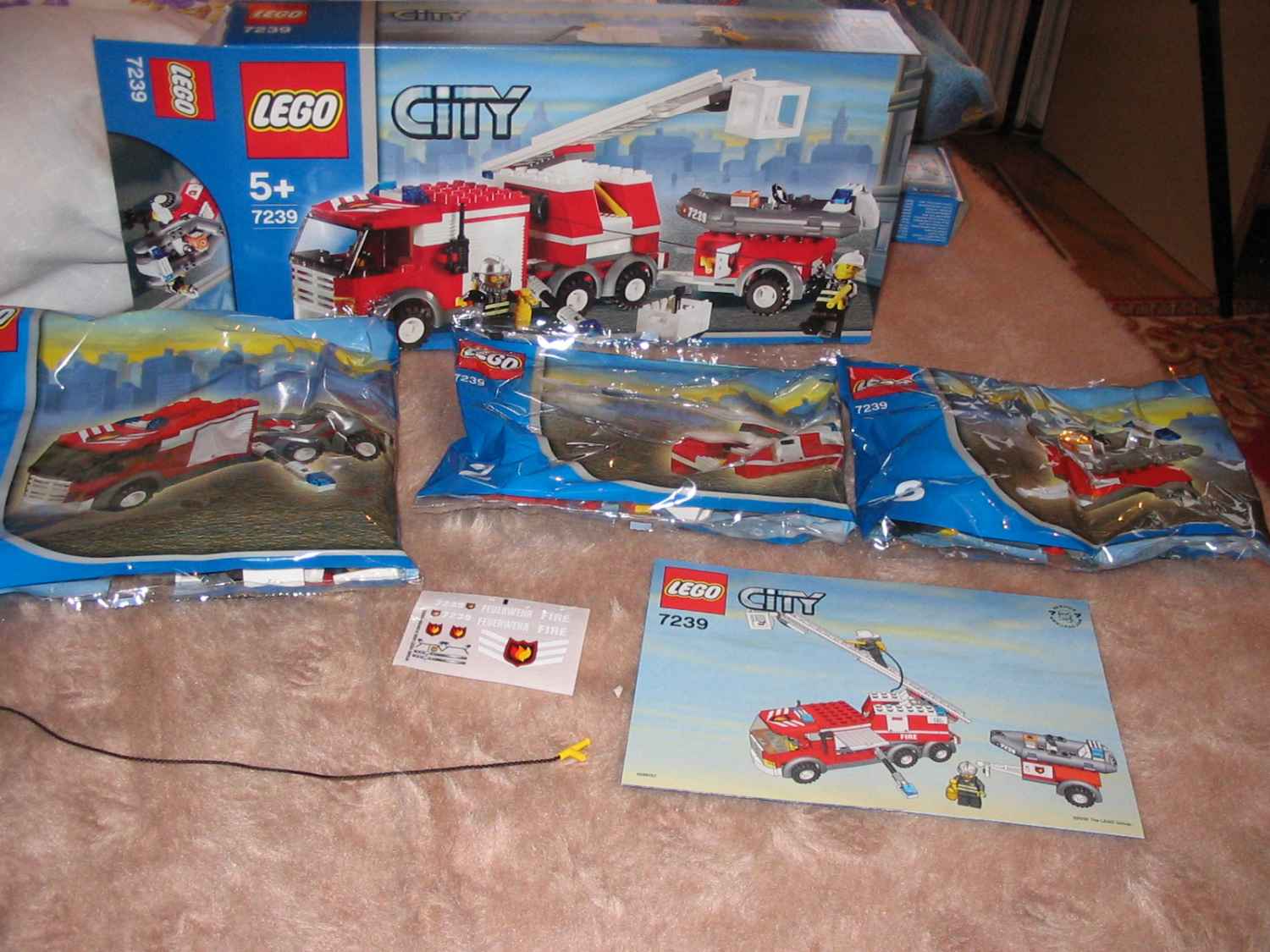 7239a.jpg