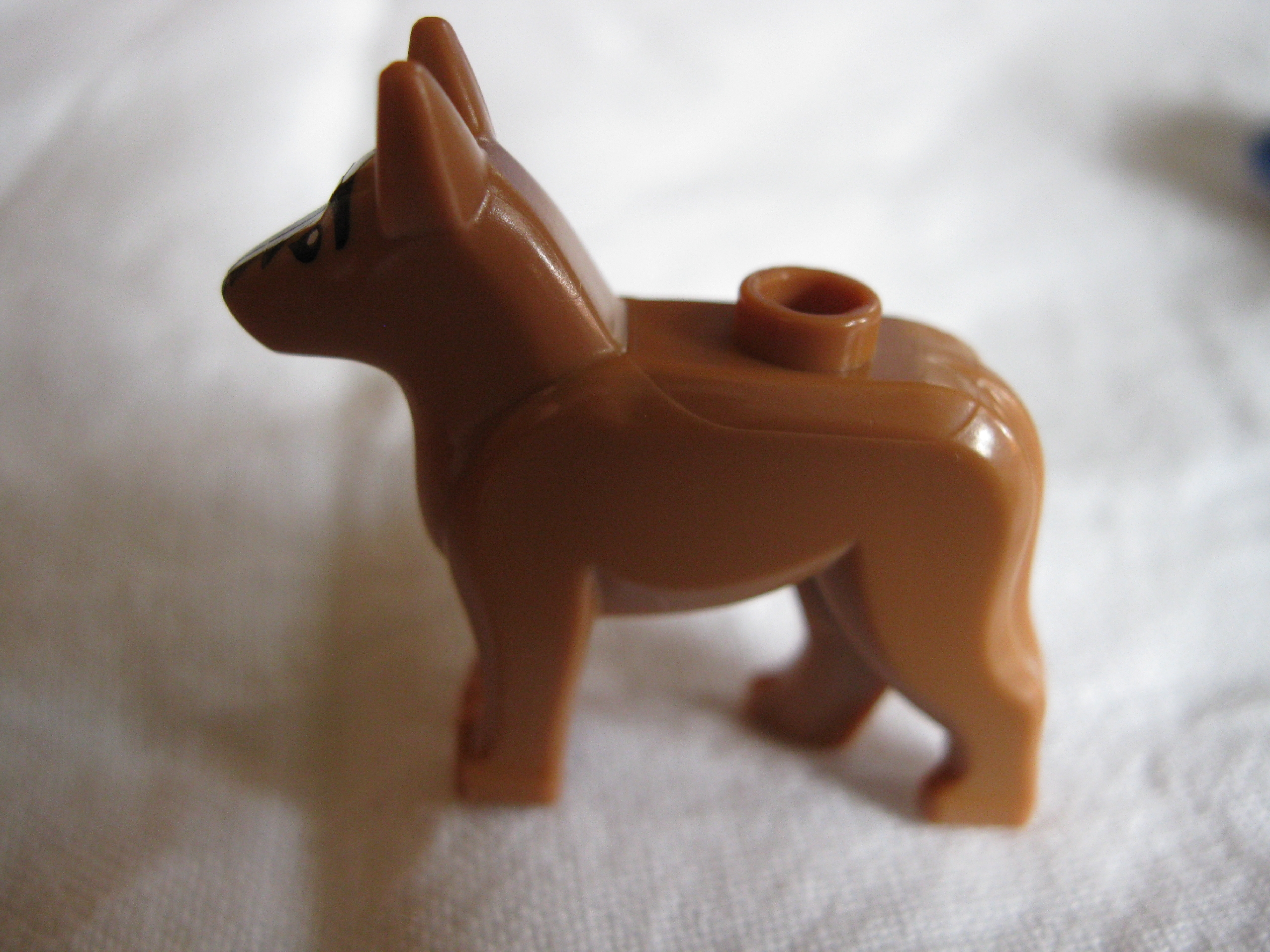 7279dog2.jpg