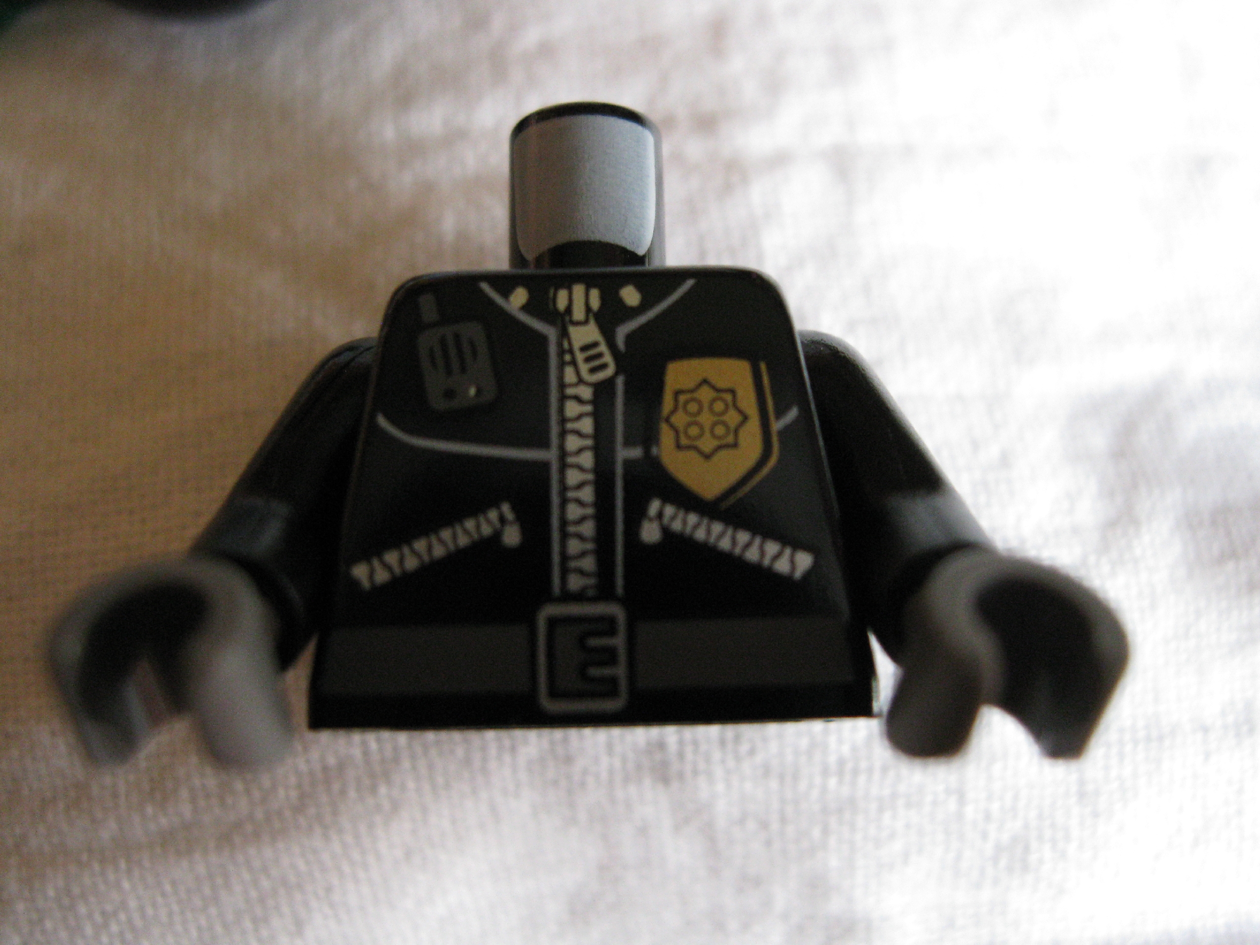 7279policetorso.jpg