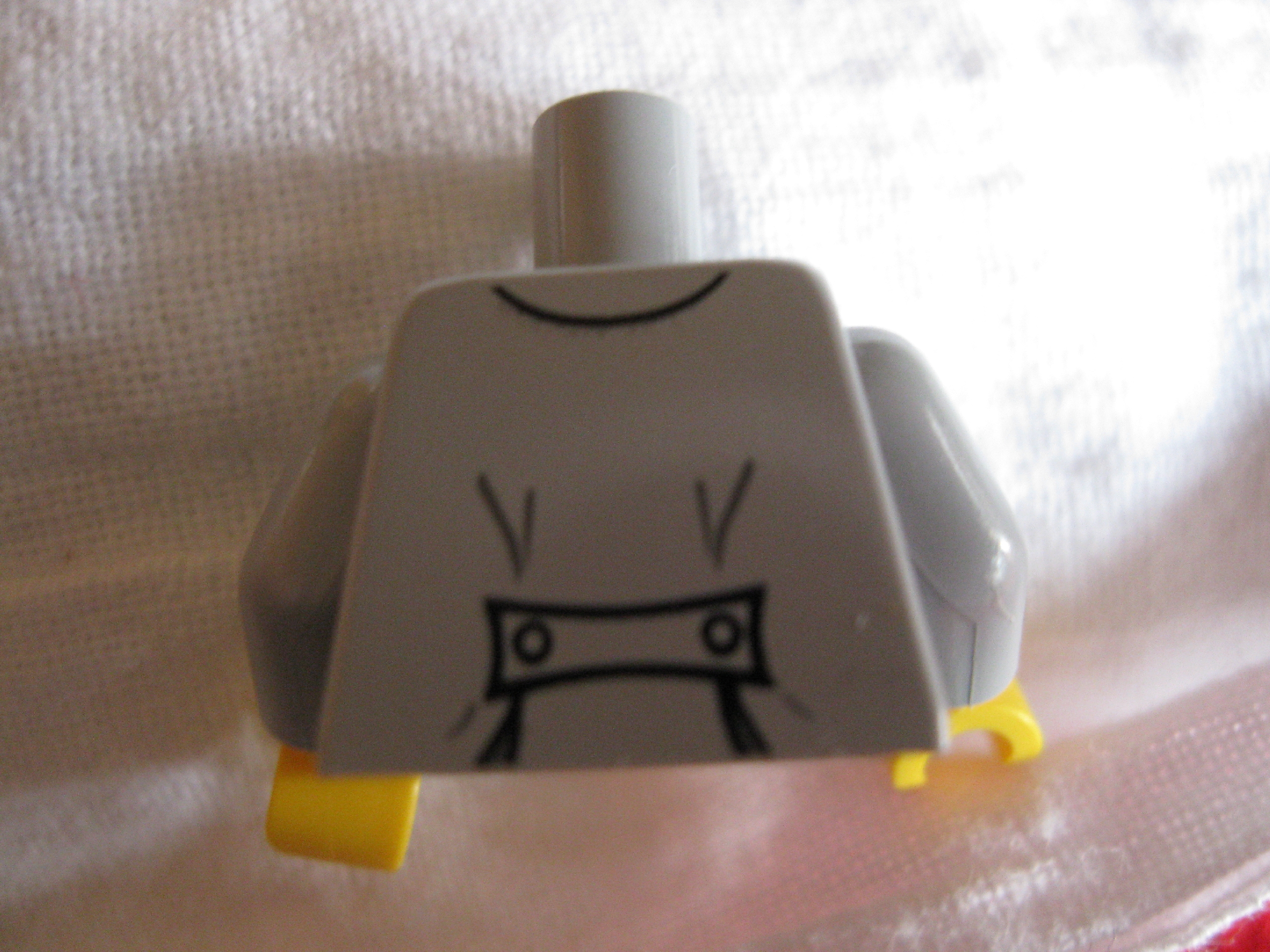 7279torsoback.jpg