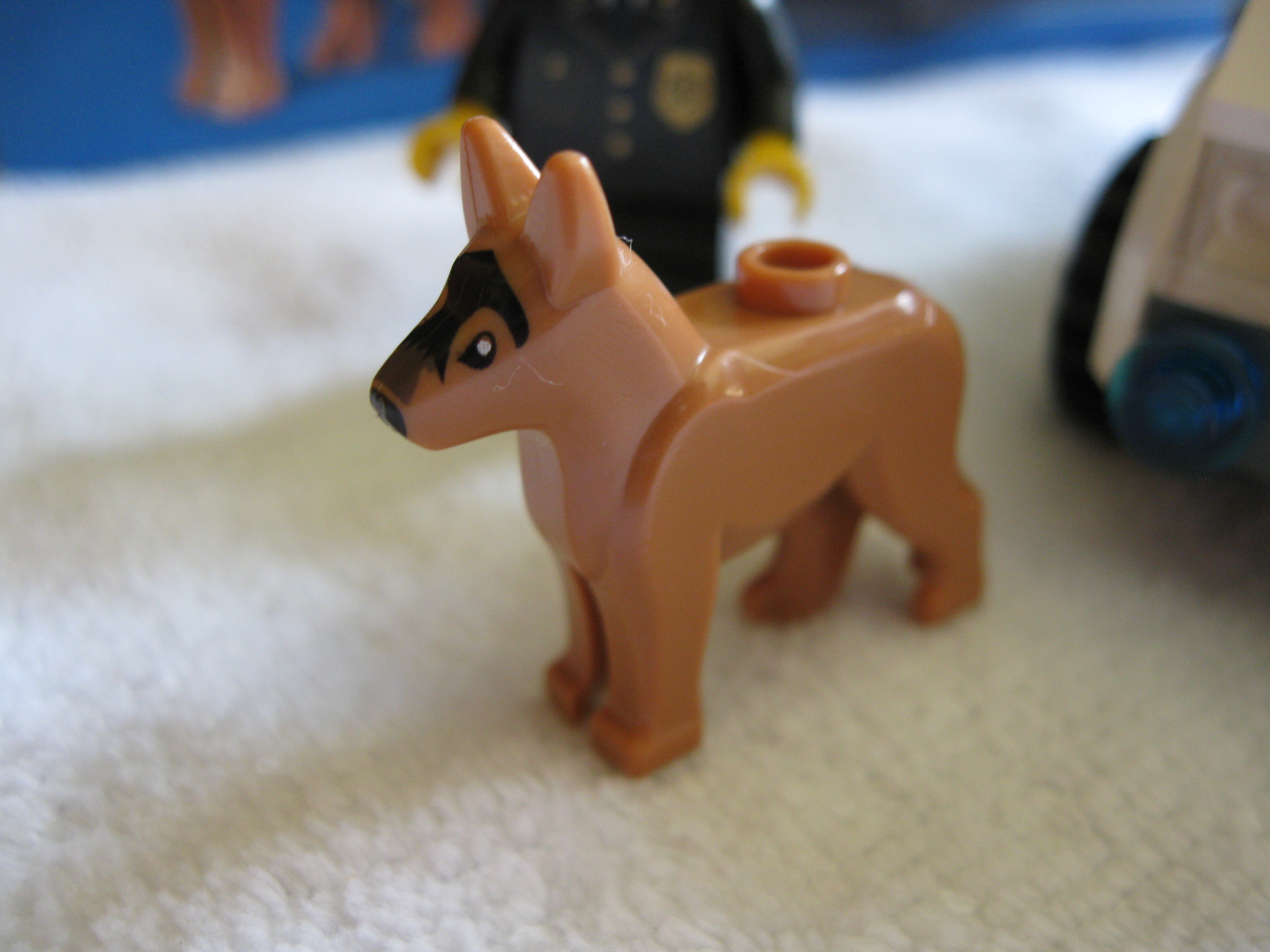 7285dog.jpg