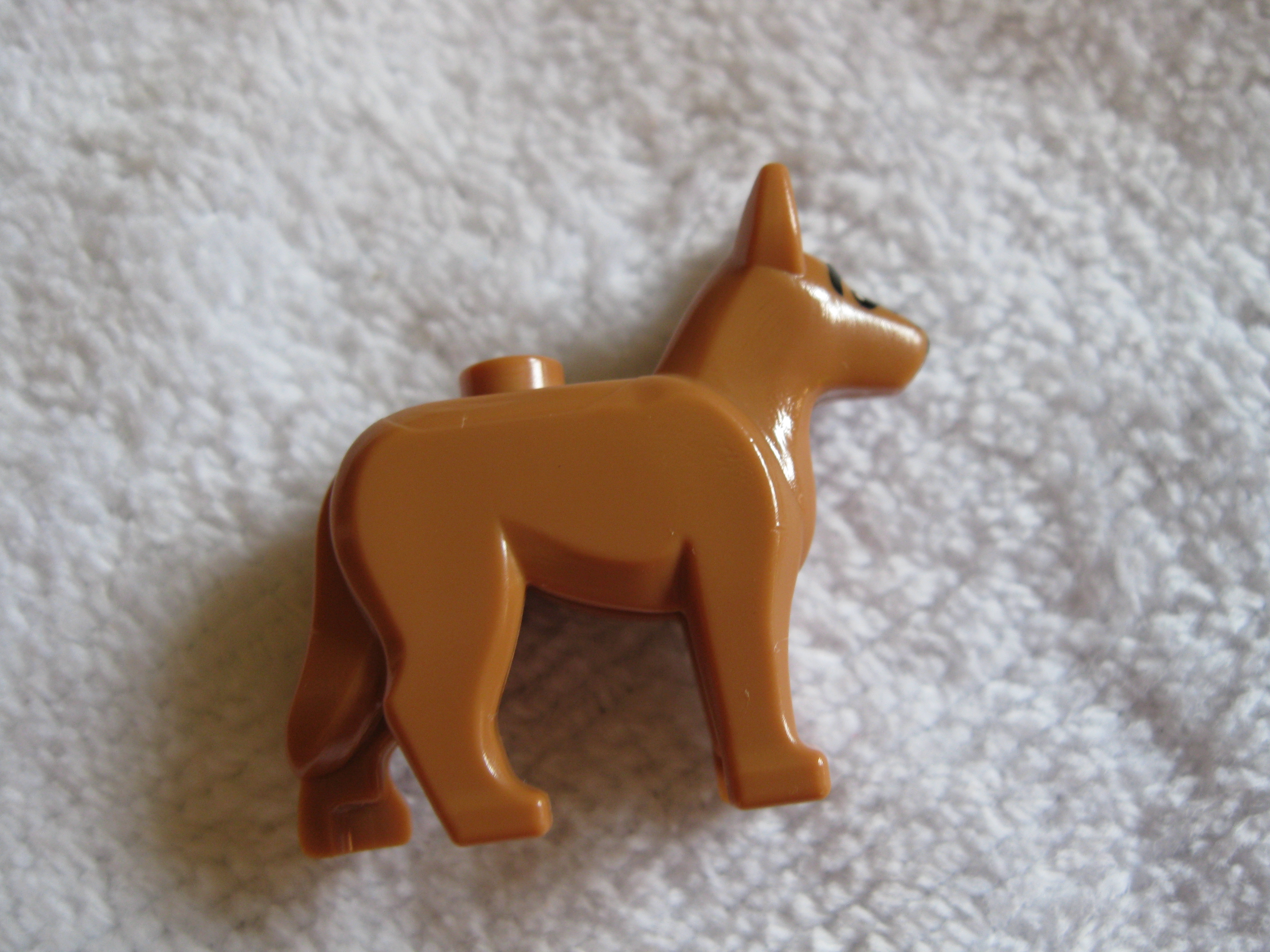 7285dog3.jpg