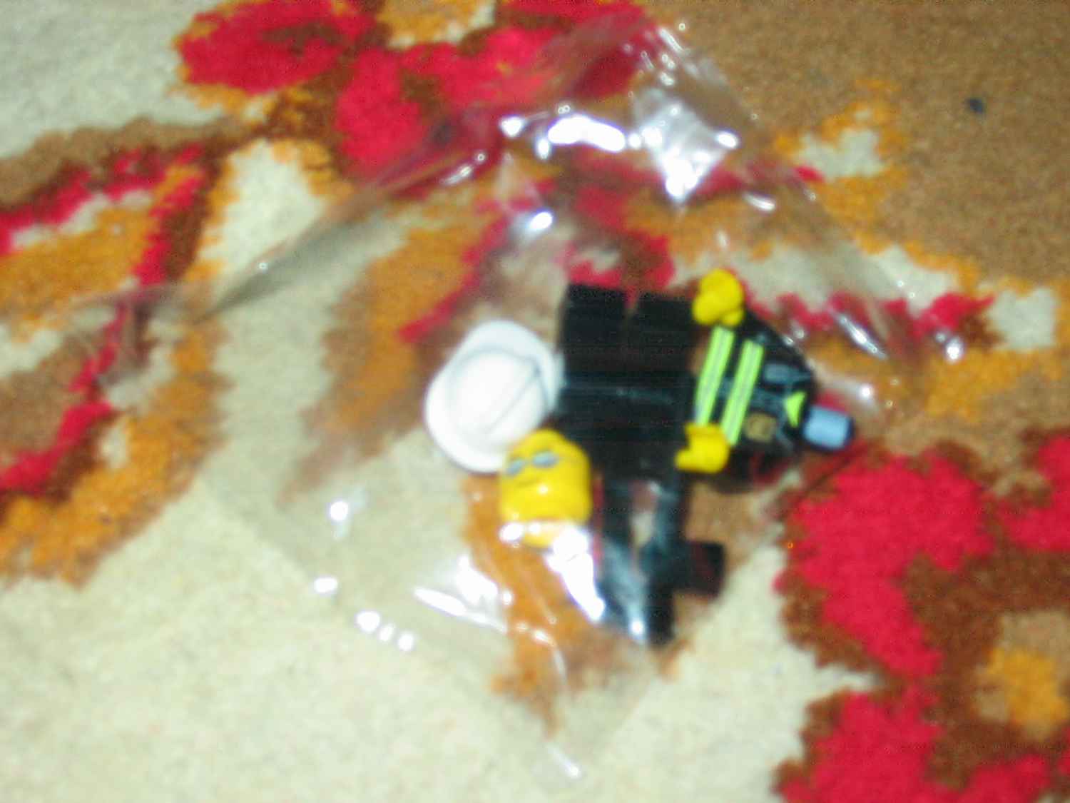 169_6978.jpg