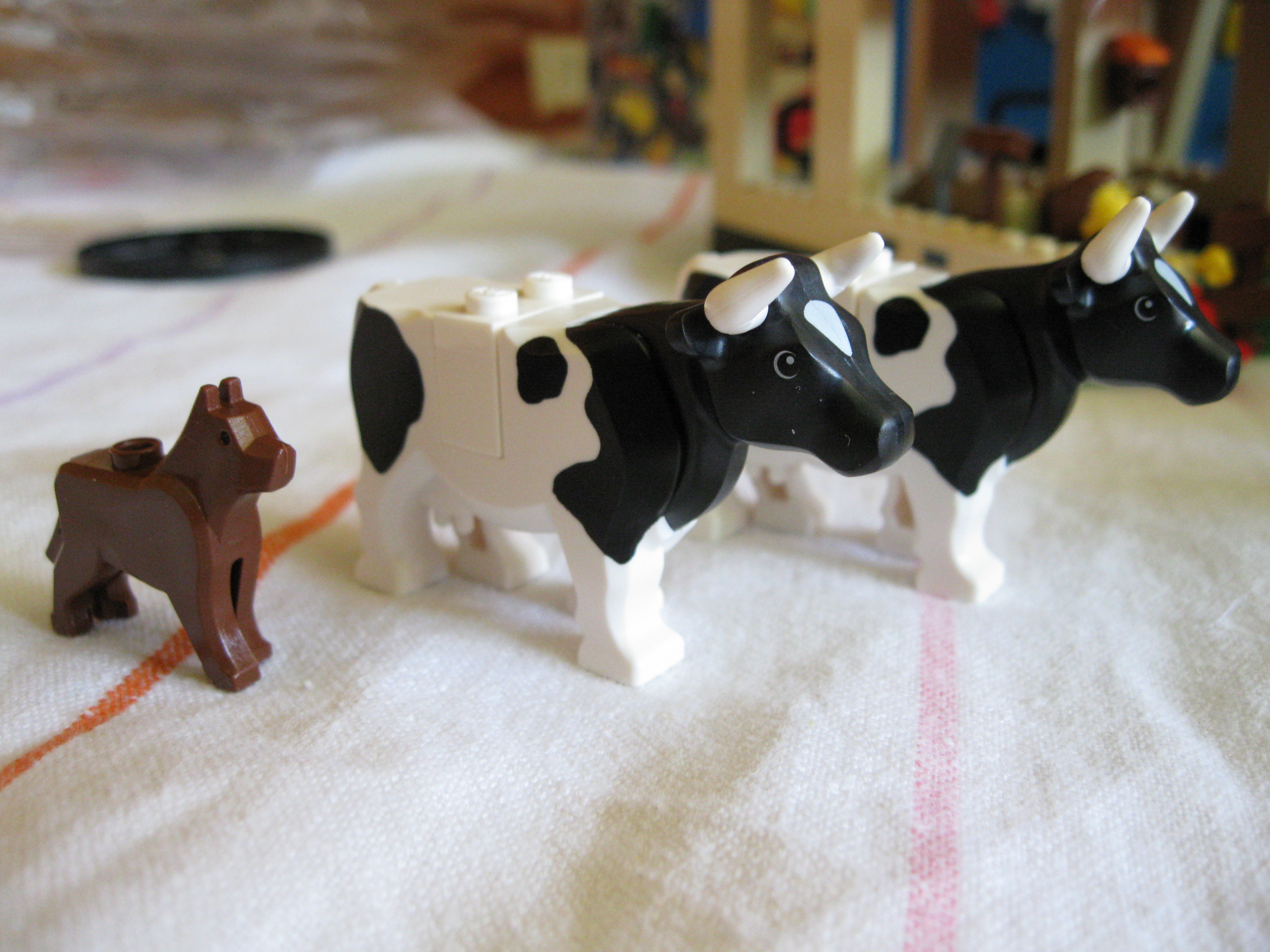7637animals.jpg