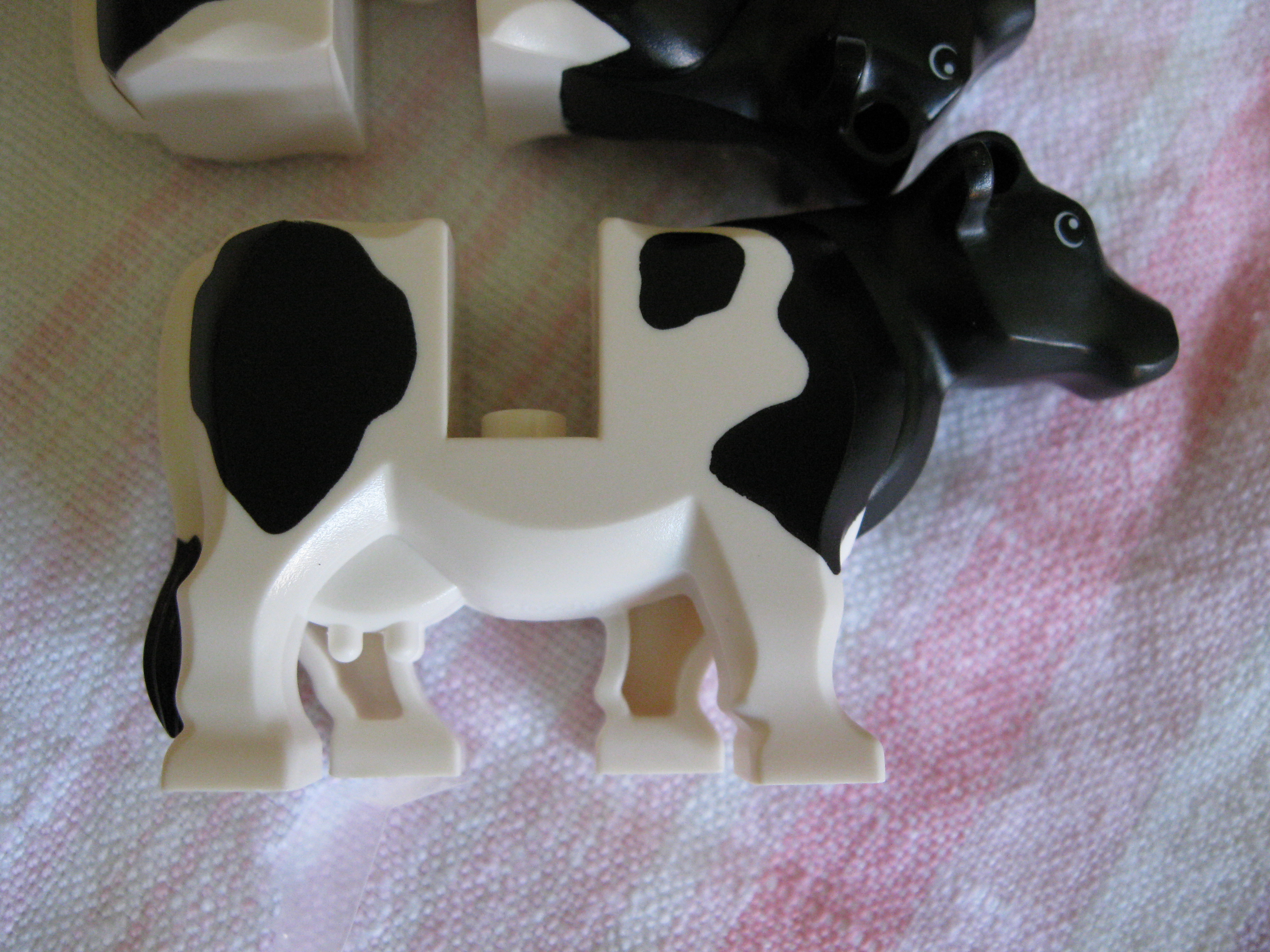 7637cow.jpg