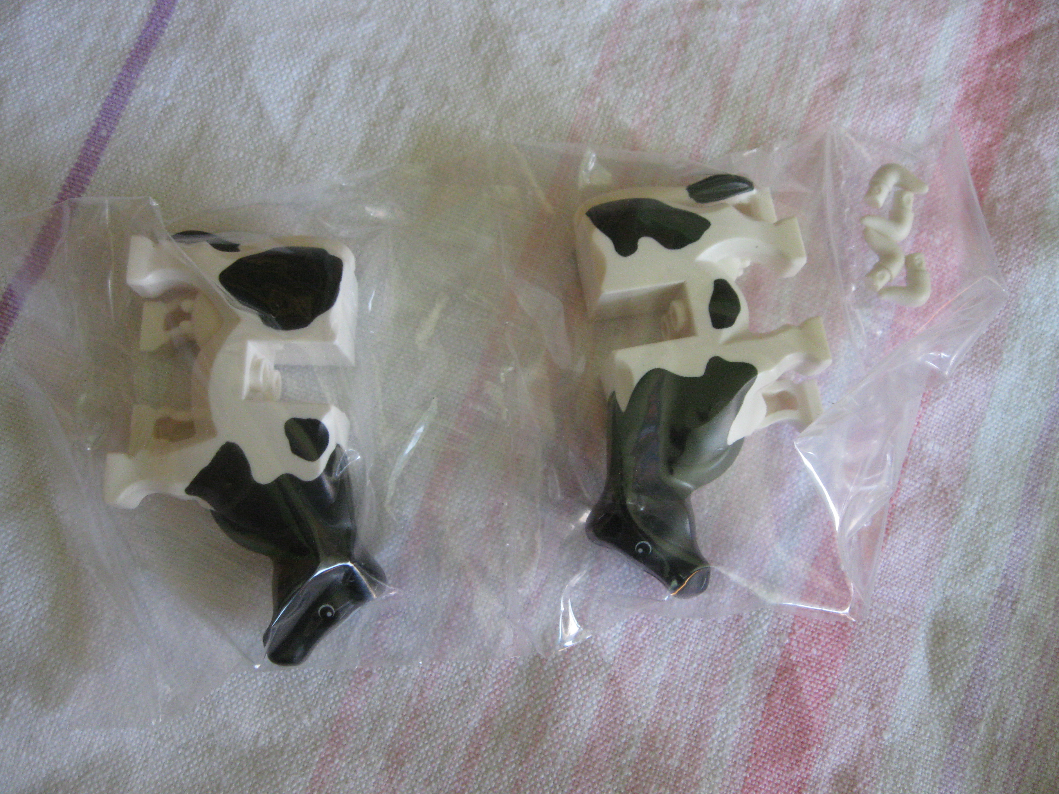 7637cows.jpg