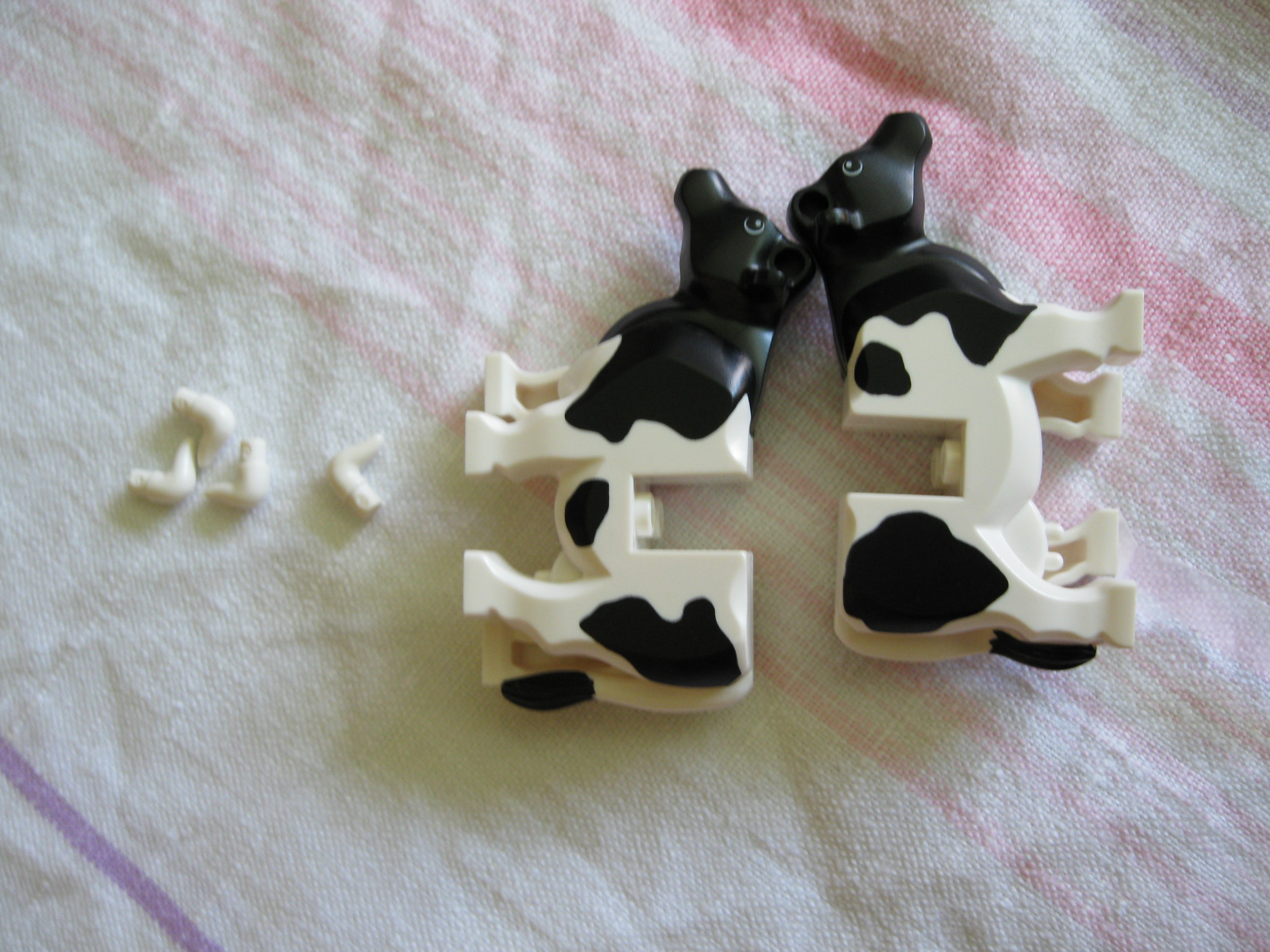 7637cows2.jpg