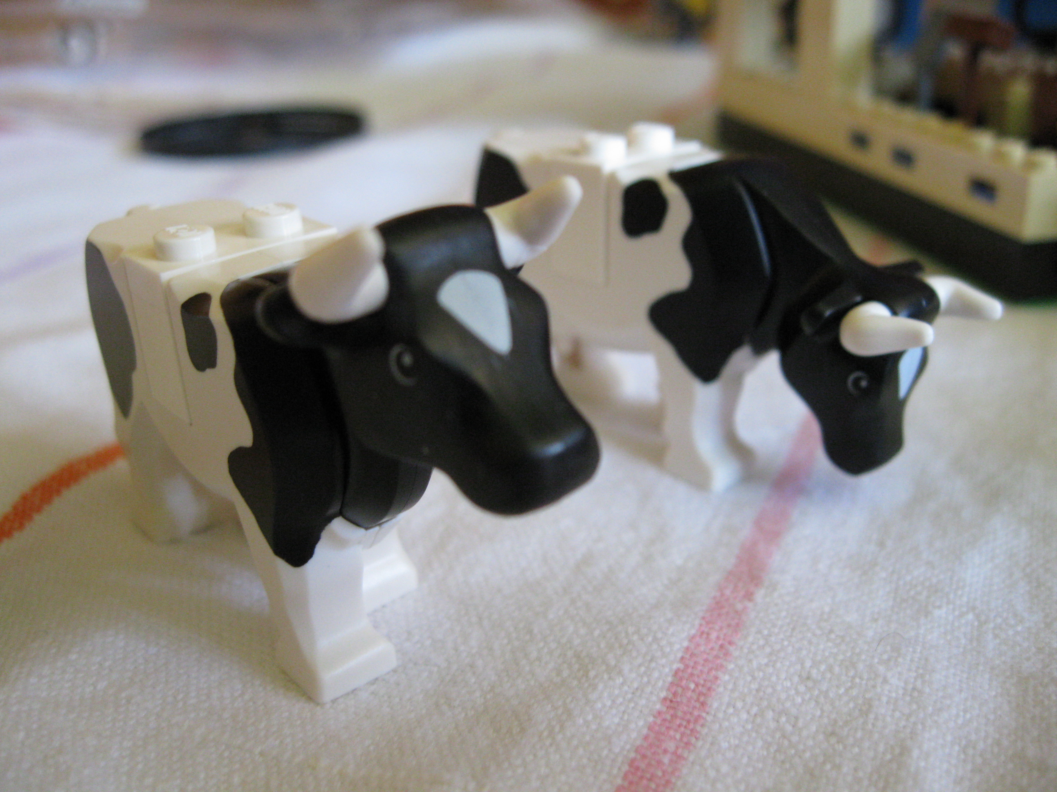 7637trailercows3.jpg