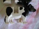 7637cow.jpg