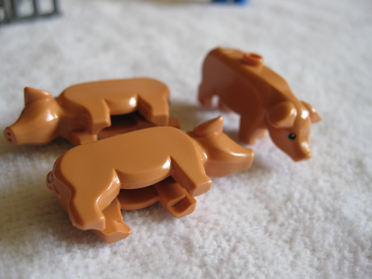 74684pigs2.jpg