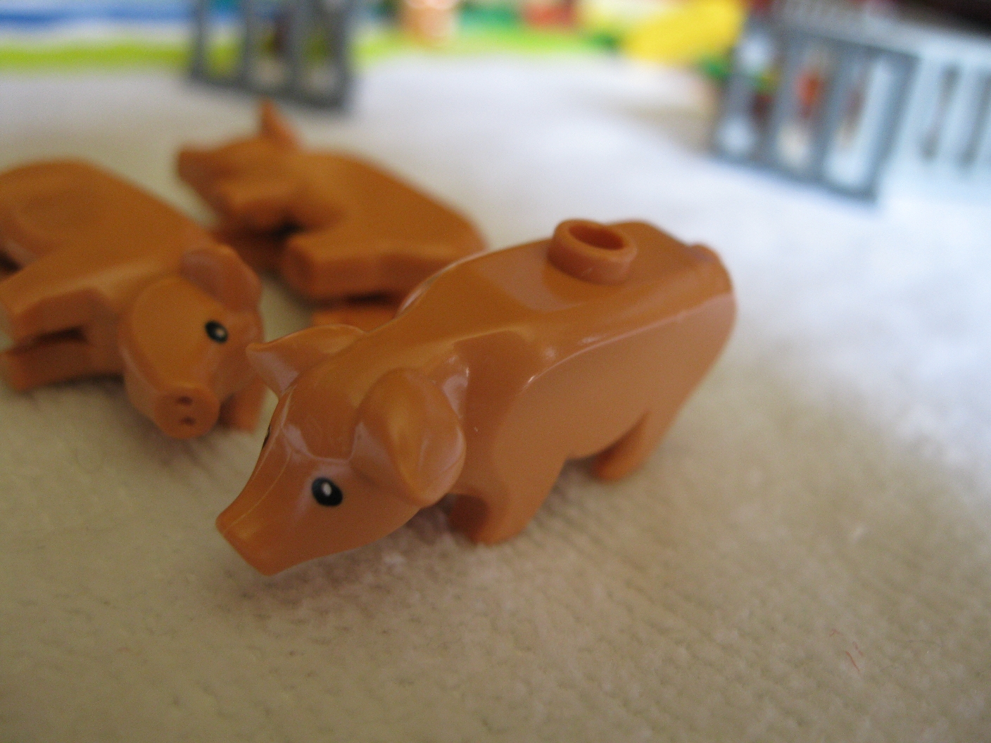 74684pigs3.jpg