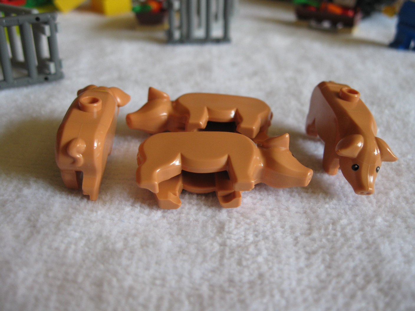 74684pigs4.jpg