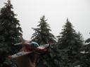 7688flying.jpg