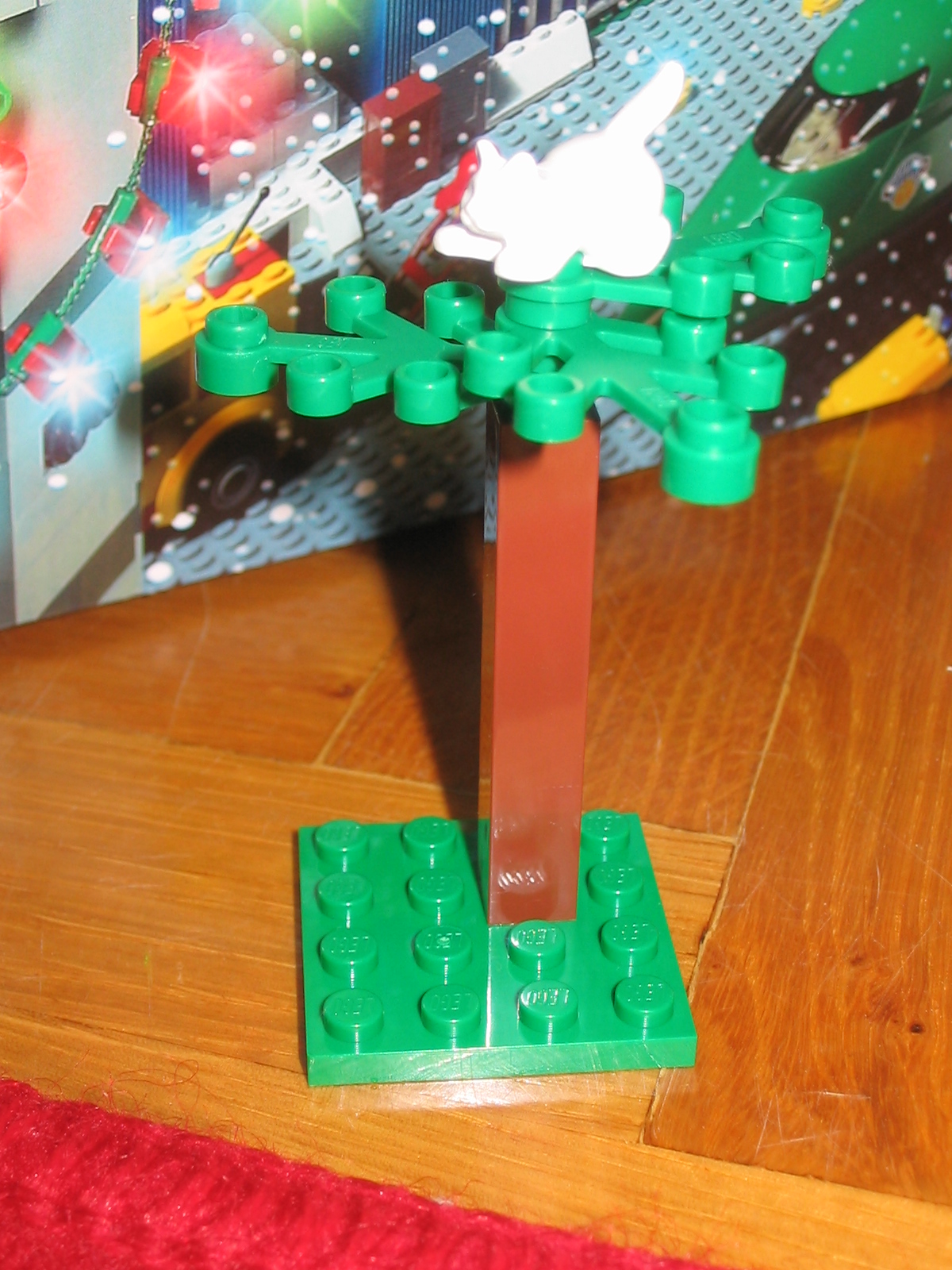 7724day08.jpg