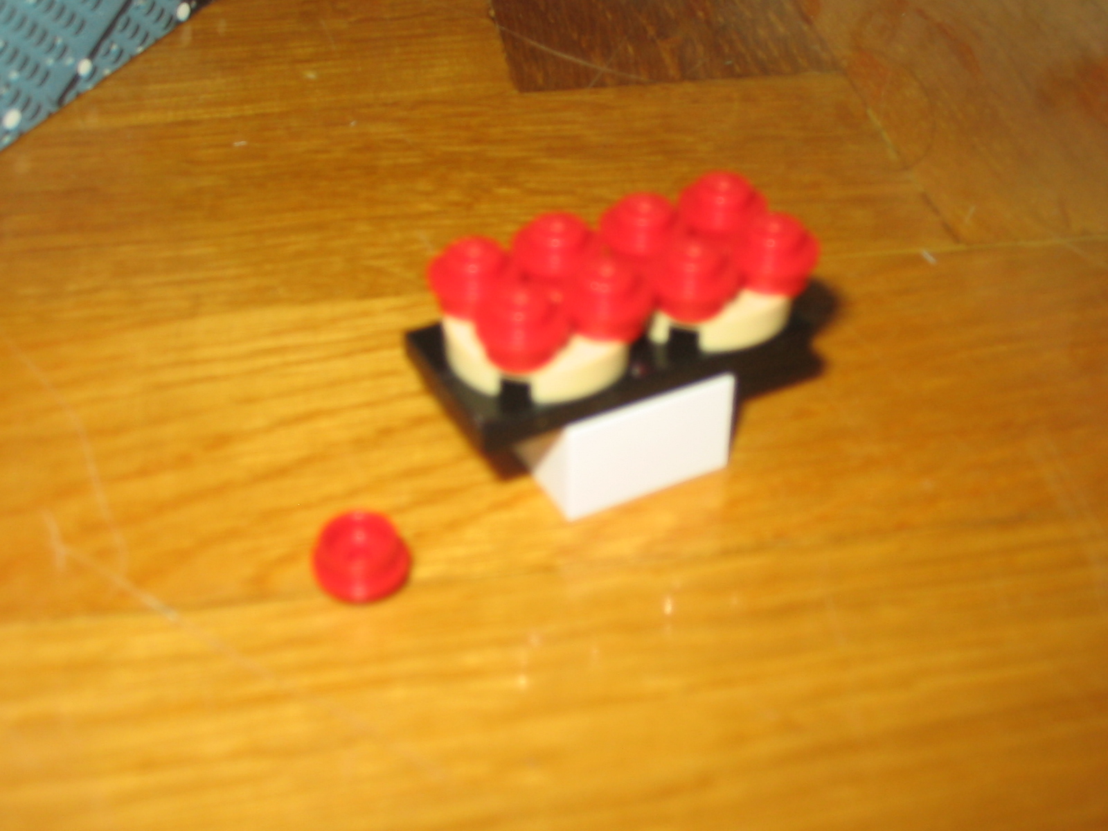 7724day11.jpg