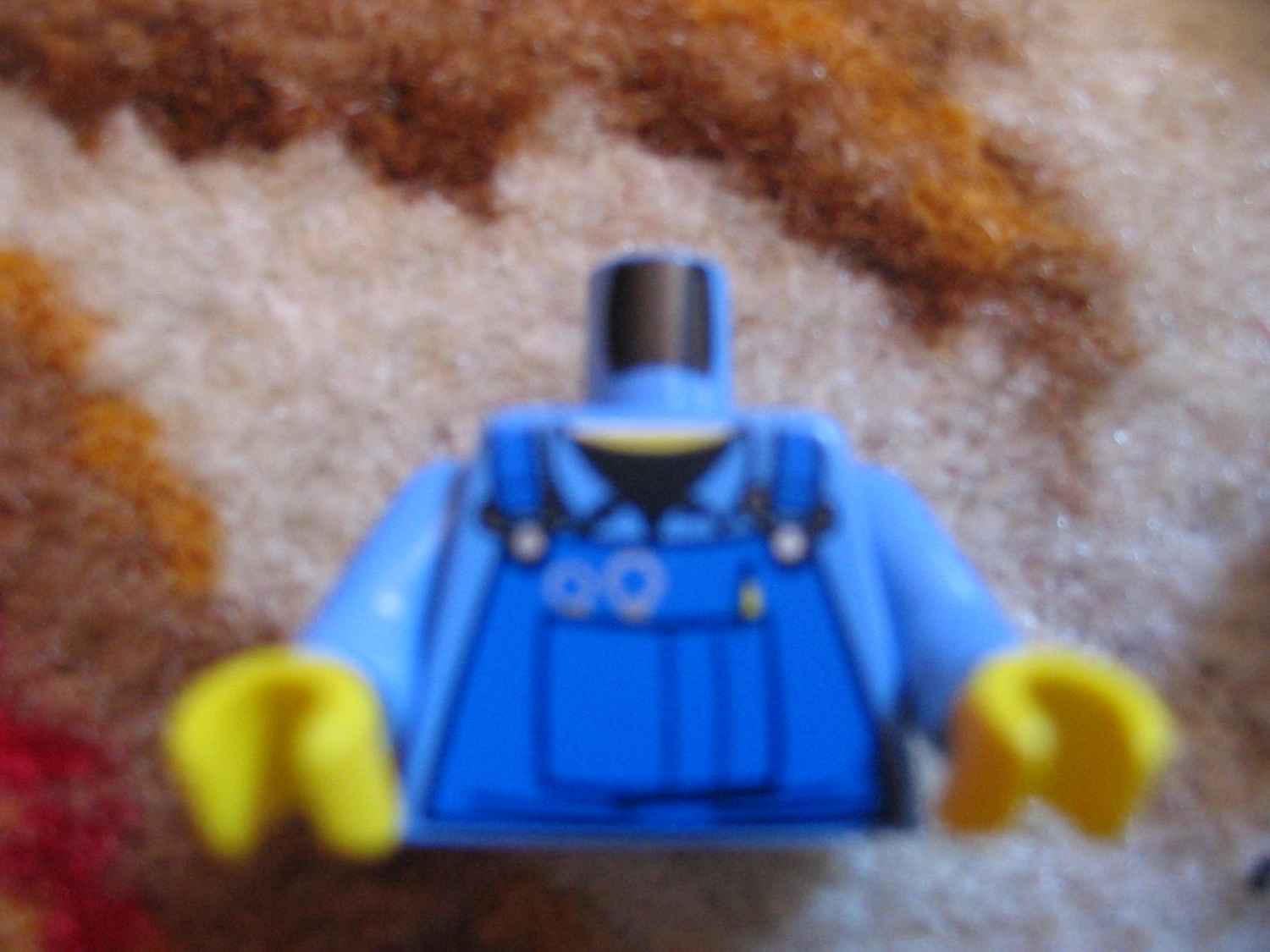 7901c.jpg