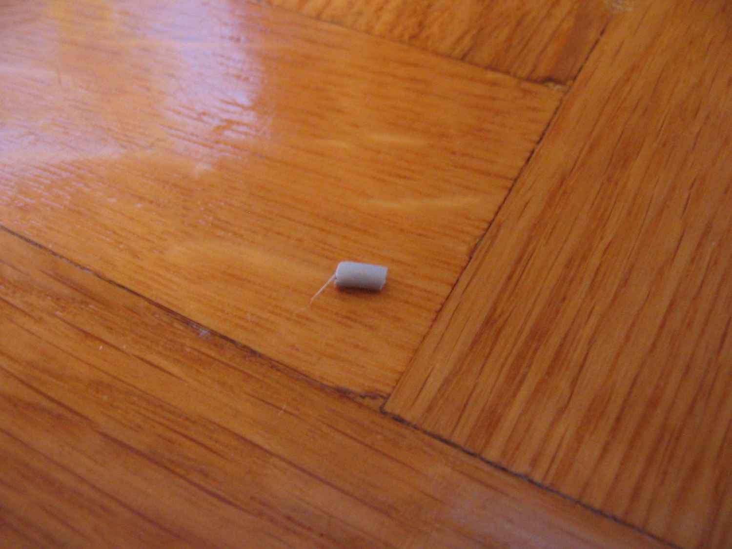 7905interestingpart.jpg