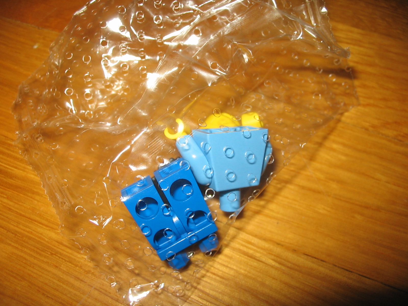 7907day10a.jpg