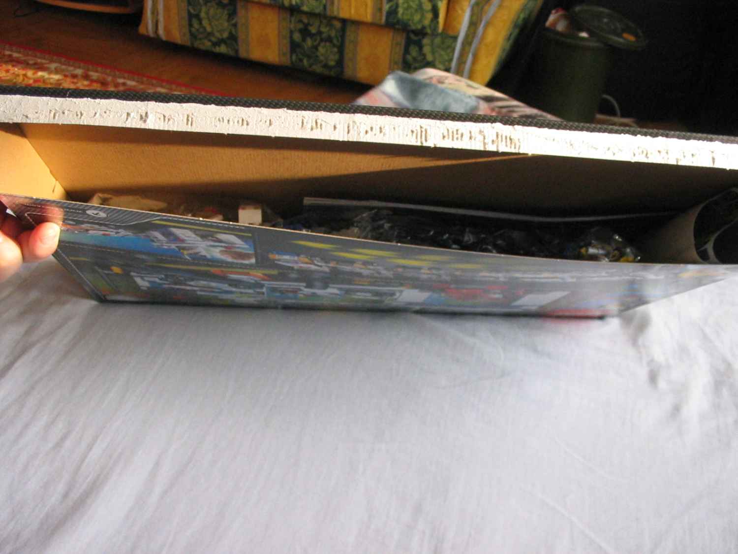 8681a.jpg