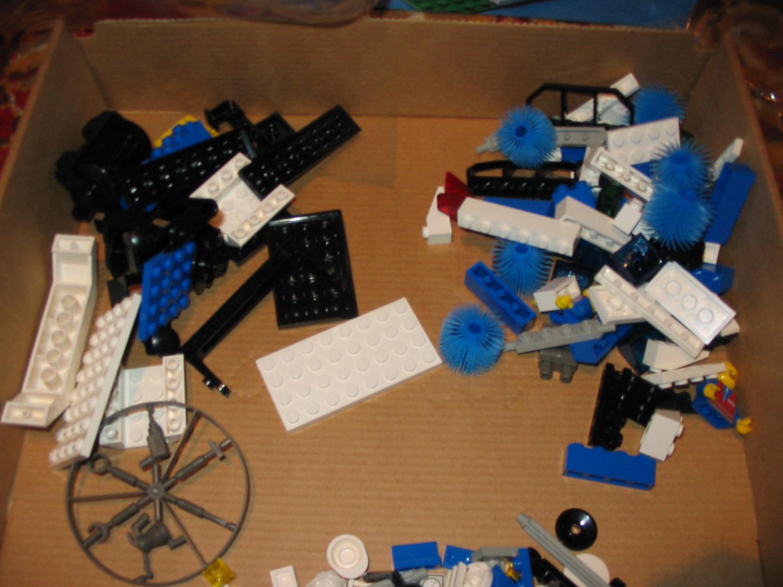 4553e.jpg