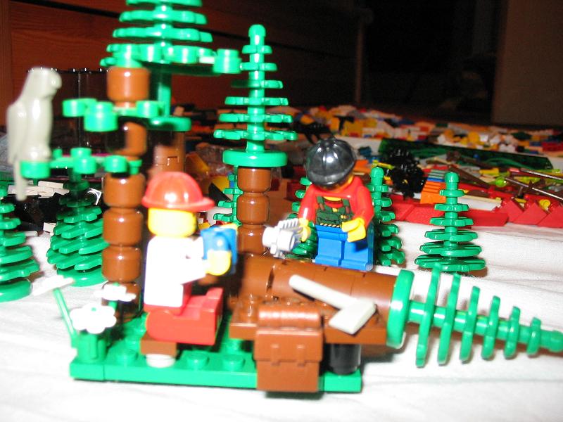 147_4729.jpg