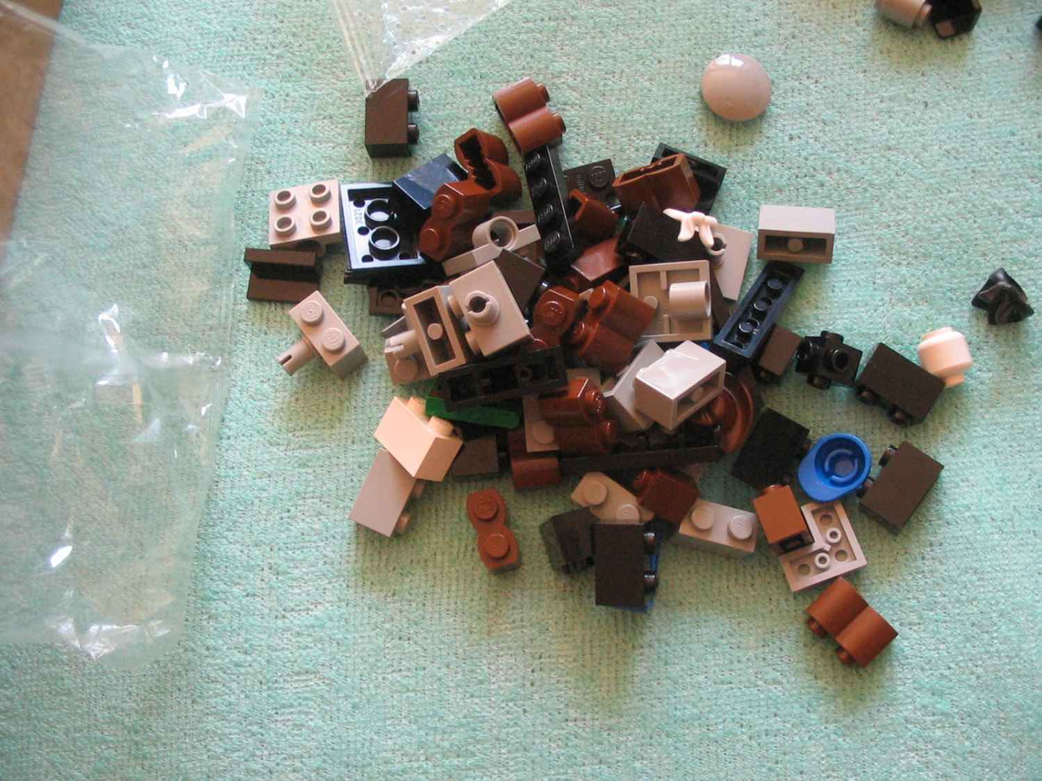 6761g.jpg