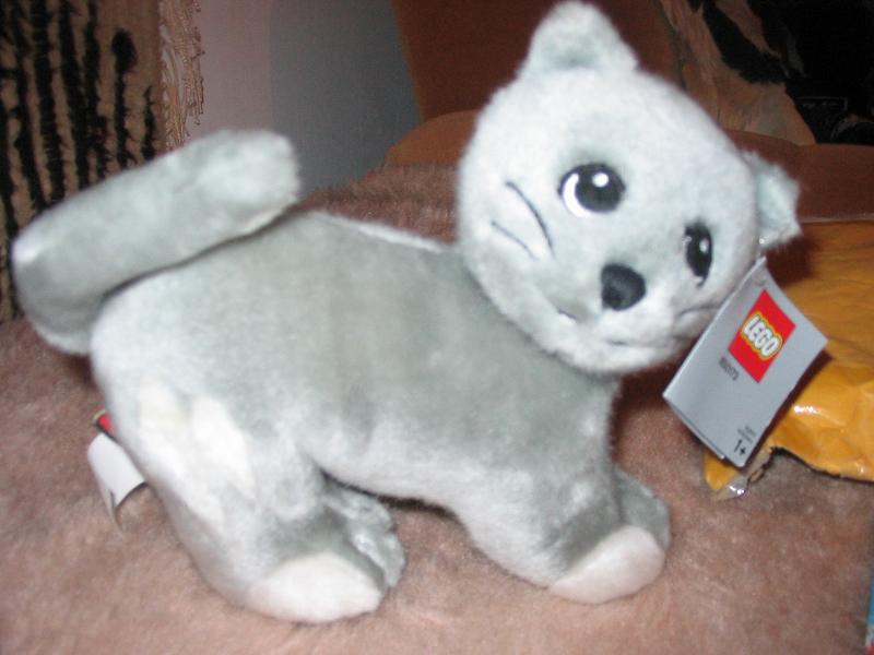 plush_cat.jpg