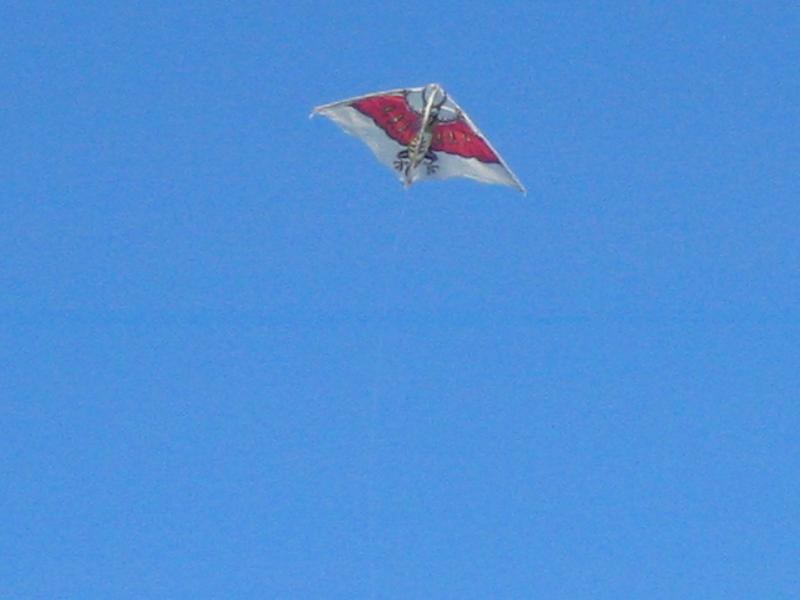 dragon_kite.jpg