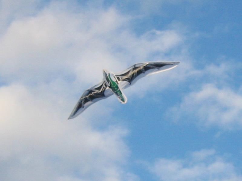 lego_kite2.jpg