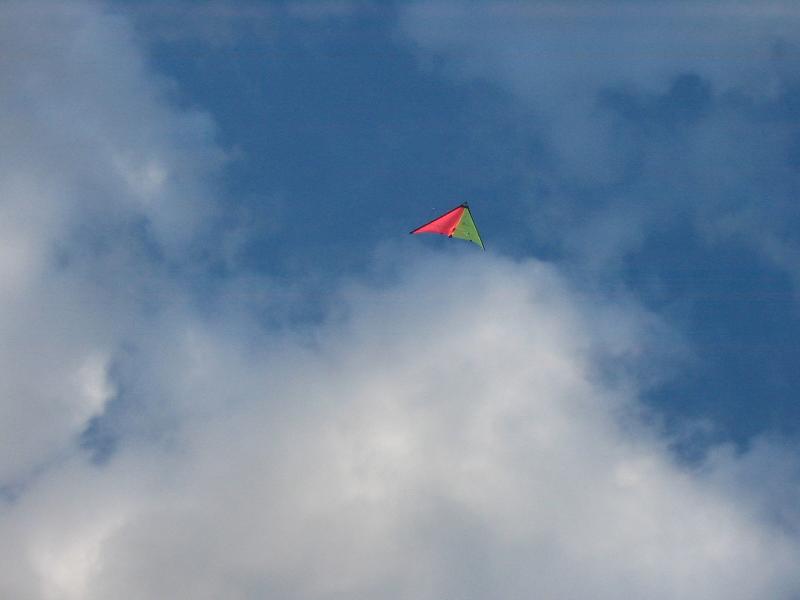 pro_kite.jpg