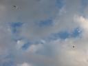 my_kites.jpg