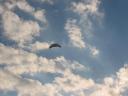 parachute_kite2.jpg
