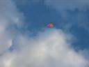 pro_kite.jpg