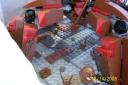 apocalego_battle_of_the_cas_017.jpg